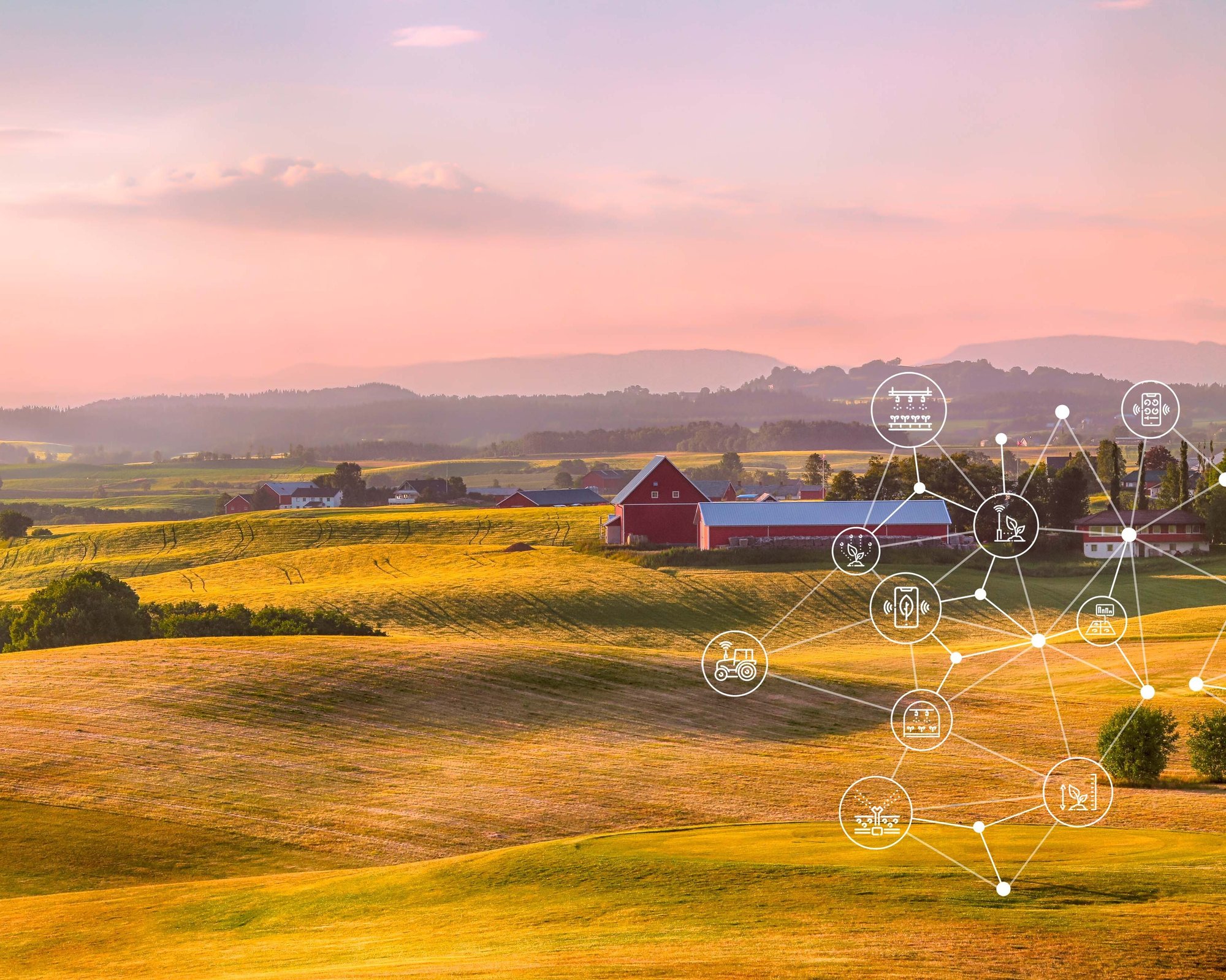 Grønn innovasjon i praksis