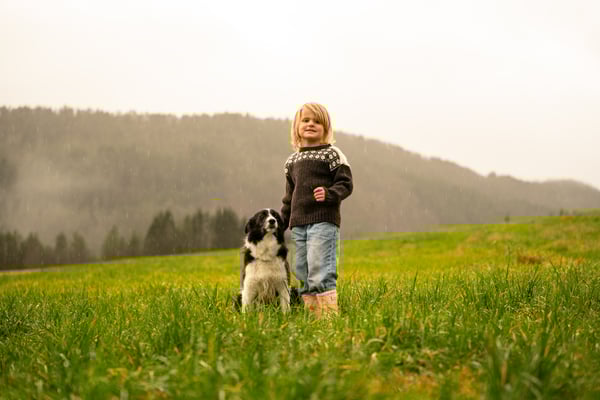 Tingvoll Ull - Kampanje-1